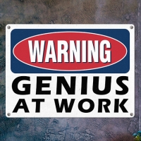 Табличка интерьерная металлическая Warning genius at work