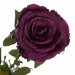 Долгосвежая роза Фиолетовый Аметист 7 карат (короткий стебель)