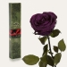 Долгосвежая роза Фиолетовый Аметист 7 карат (короткий стебель)