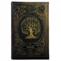 Книга сейф с замком Family Tree  26 см