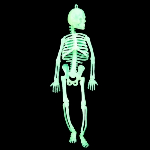Скелет светонакопительный маленький