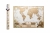 Скретч карта мира MyAntiqueMap