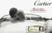 Мужской Парфюм Cartier Roadster Sport 100 ml