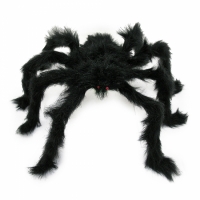 Чёрный паук