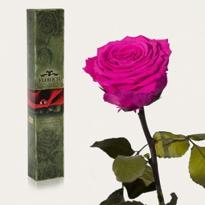 Долгосвежая роза Малиновый Родолит 7 карат (средний стебель)
