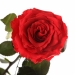 Три долгосвежих розы Красный Рубин 7 карат (короткий стебель)