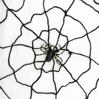 Паутина с пауком