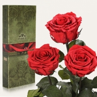Фото Три долгосвежих розы Алый Рубин 7 карат (короткий стебель)