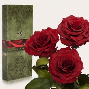 Фото Три долгосвежих розы Багровый Гранат 7 карат (средний стебель)