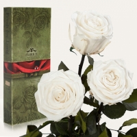 Фото Три долгосвежих розы Белый Бриллиант 7 карат (средний стебель)