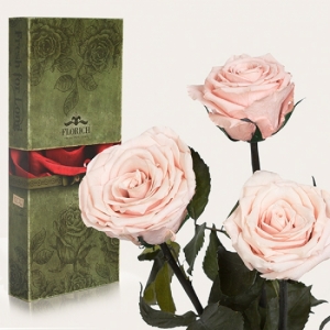 Фото Три долгосвежих розы Розовый Жемчуг 7 карат (короткий стебель)