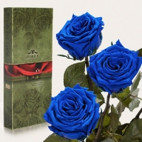 Три долгосвежих розы Синий Сапфир 7 карат (средний стебель)