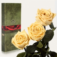 Три долгосвежих розы Желтый Топаз 7 карат (короткий стебель)