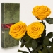 Три долгосвежих розы Золотистый Хризоберилл в подарочной упаковке (не вянут от 6 месяцев до 5 лет)