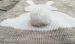 Фото3 Вязаный плед для новорожденных Ушастый Мишка