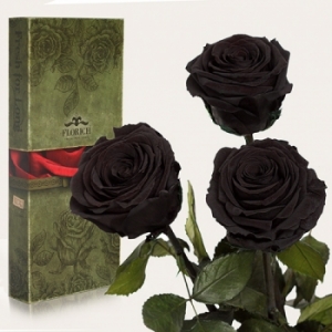Три долгосвежих розы Черный Бриллиант 5 карат на коротком
