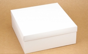 Подарочная коробка 25х25х10 см (Белый)