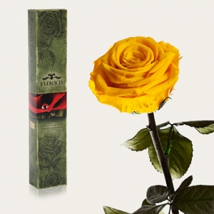 Долгосвежая роза Золотистый Хризоберилл в подарочной упаковке (не вянут  до 5 лет)