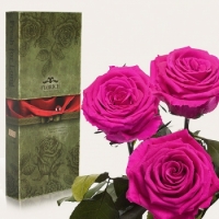 Три долгосвежих розы Малиновый Родолит 5 карат на коротком