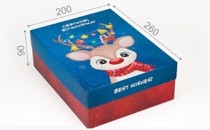Подарункова коробка Best Wishes 20х26х9 см
