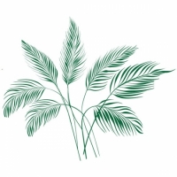 Виниловая Наклейка Palm Leaves