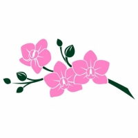 Виниловая Наклейка Pink Orchid