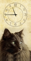 Часы на холсте Кошка 25х50