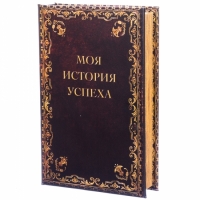 Книга сейф История успеха 26см