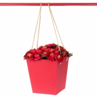 Коробка для цветов Tinki Red