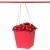 Коробка для цветов Tinki Red