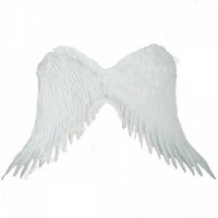 Крылья Амура большие 55х55см (белые)