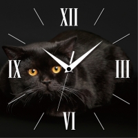 Настенные Часы Panorama Черный Кот