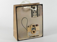 Подарочный пакет Фотокамера 32 см