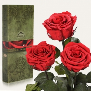Три долгосвежих розы Алый Рубин 7 карат (короткий стебель)