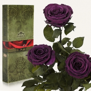 Фото Три долгосвежих розы Фиолетовый Аметист 7 карат (средний стебель)