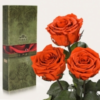 Три долгосвежих розы Огненый Янтарь 7 карат (средний стебель)