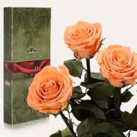 Три долгосвежих розы Золотистый Хризоберил 7 карат (короткий стебель)